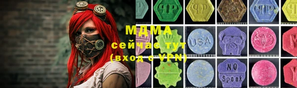 индика Нягань