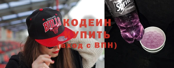 индика Нягань