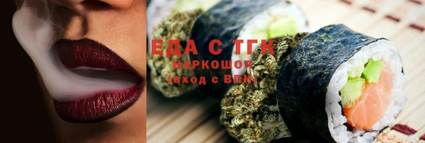 индика Нягань