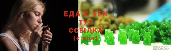 индика Нягань