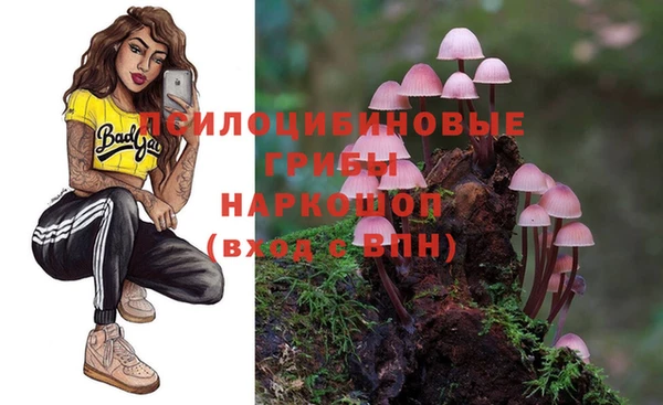 таблы Алзамай
