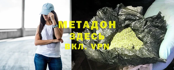 индика Нягань