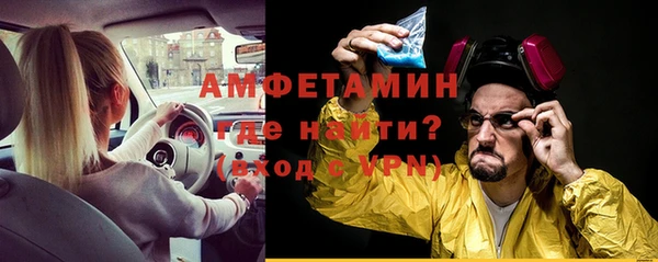 индика Нягань