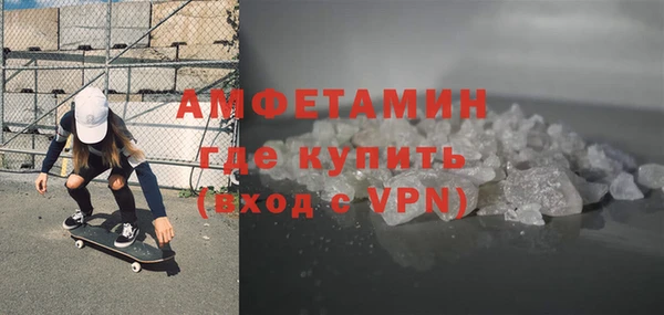 индика Нягань