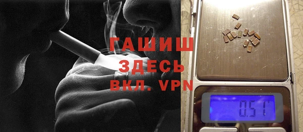 индика Нягань