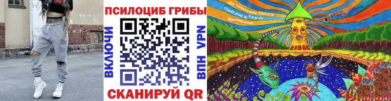 Псилоцибиновые грибы мухоморы  Новозыбков 