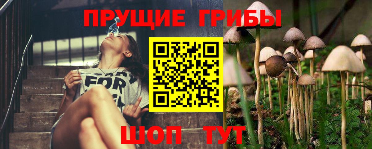 Галлюциногенные грибы GOLDEN TEACHER Новозыбков